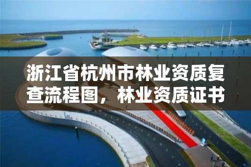 浙江省杭州市林业资质复查流程图，林业资质证书