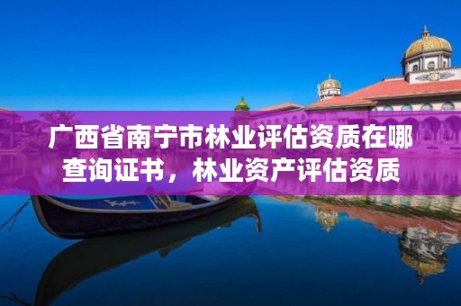 广西省南宁市林业评估资质在哪查询证书,林业资产评估资质
