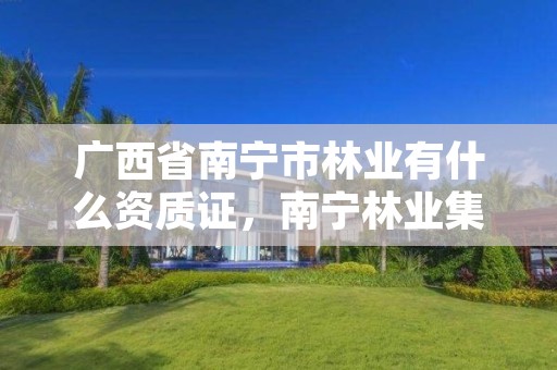 广西省南宁市林业有什么资质证，南宁林业集团好不好