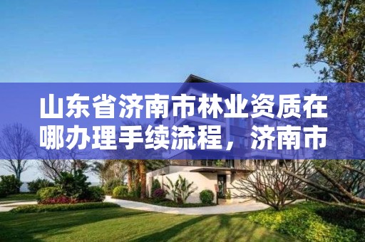 山东省济南市林业资质在哪办理手续流程，济南市林业局招聘公告