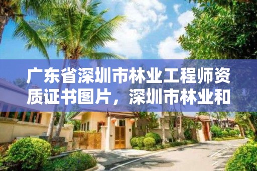 广东省深圳市林业工程师资质证书图片，深圳市林业和草原局