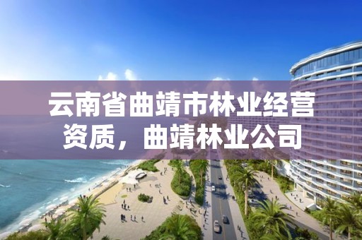 云南省曲靖市林业经营资质，曲靖林业公司