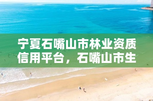 宁夏石嘴山市林业资质信用平台,石嘴山市生态保护林场