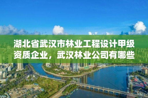 湖北省武汉市林业工程设计甲级资质企业，武汉林业公司有哪些
