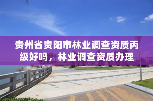 贵州省贵阳市林业调查资质丙级好吗，林业调查资质办理