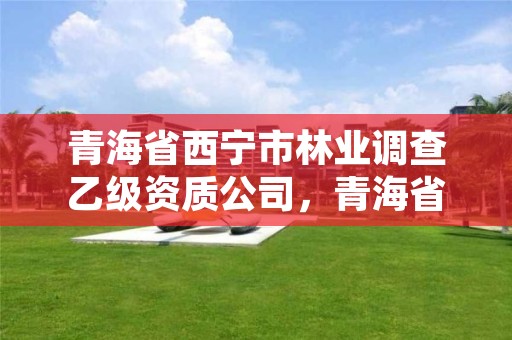 详细阅读:青海省西宁市林业调查乙级资质公司,青海省林业工程咨询有限公司 青海省西宁市林业调查乙级资质公司,青海省林业工程咨询有限公司