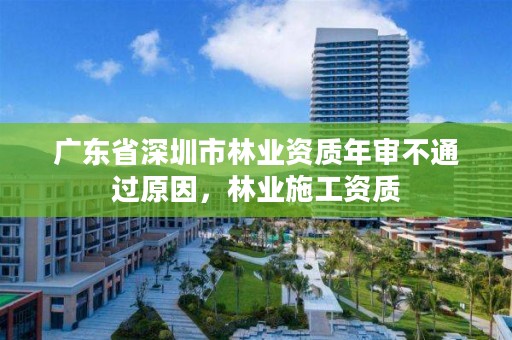 广东省深圳市林业资质年审不通过原因，林业施工资质