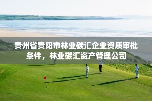 贵州省贵阳市林业碳汇企业资质审批条件，林业碳汇资产管理公司