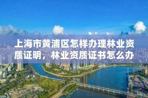 上海市黄浦区怎样办理林业资质证明，林业资质证书怎么办理?