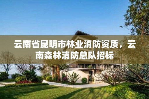 云南省昆明市林业消防资质，云南森林消防总队招标