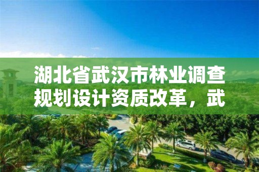 湖北省武汉市林业调查规划设计资质改革，武汉市林业发展有限责任公司