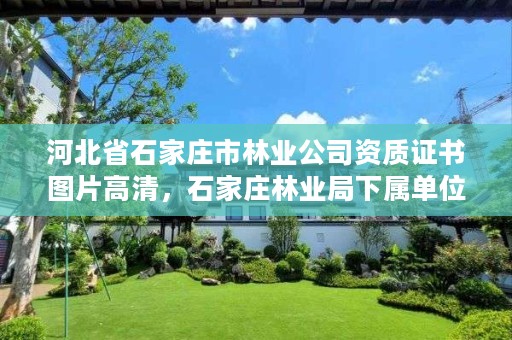 河北省石家庄市林业公司资质证书图片高清，石家庄林业局下属单位