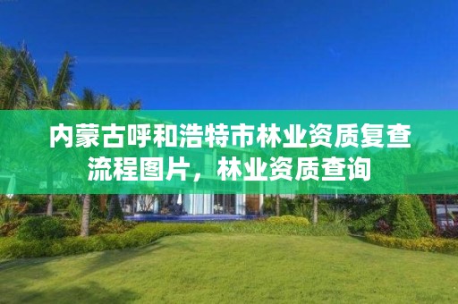 内蒙古呼和浩特市林业资质复查流程图片,林业资质查询