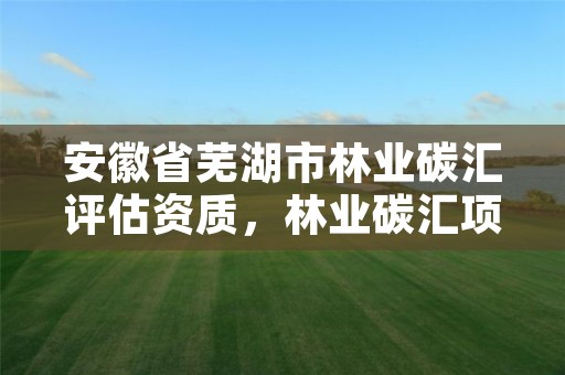 安徽省芜湖市林业碳汇评估资质，林业碳汇项目公司