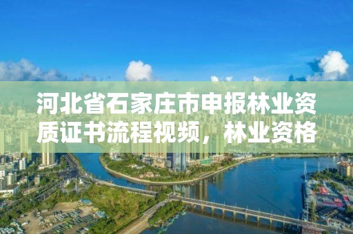 河北省石家庄市申报林业资质证书流程视频，林业资格证书