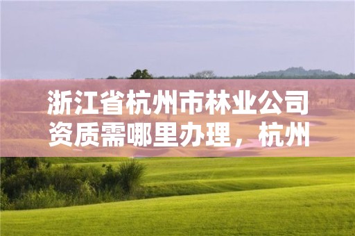 浙江省杭州市林业公司资质需哪里办理，杭州林业厅地址