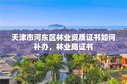 天津市河东区林业资质证书如何补办，林业局证书