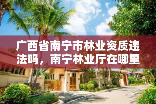 广西省南宁市林业资质违法吗，南宁林业厅在哪里