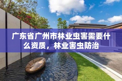 广东省广州市林业虫害需要什么资质，林业害虫防治