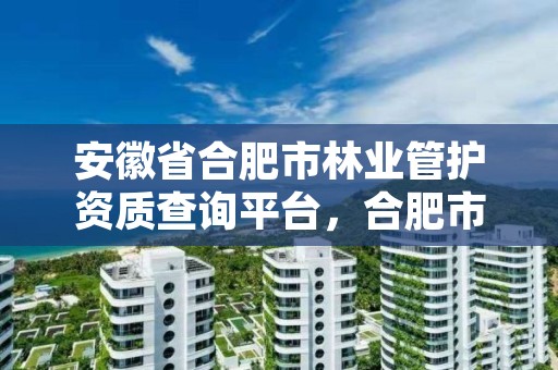 安徽省合肥市林业管护资质查询平台，合肥市林业局投诉电话