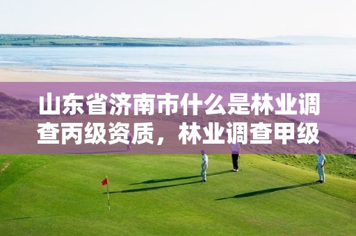 山东省济南市什么是林业调查丙级资质，林业调查甲级资质