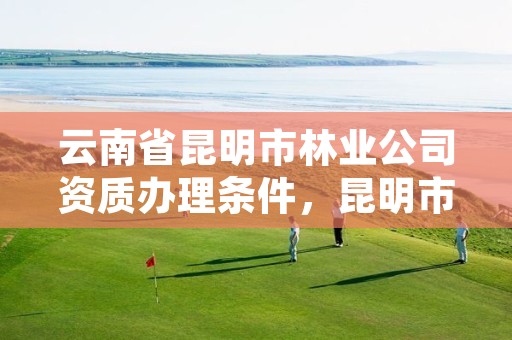 云南省昆明市林业公司资质办理条件,昆明市林业产业投资开发有限公司