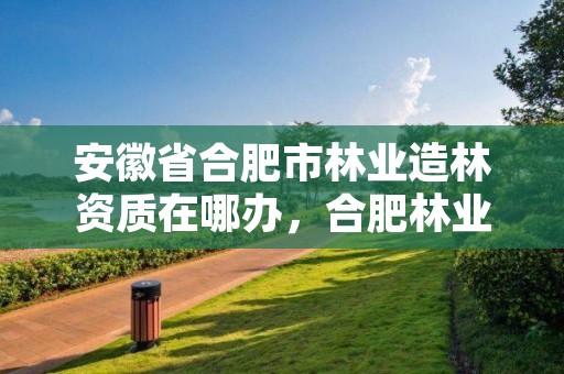 安徽省合肥市林业造林资质在哪办，合肥林业部门