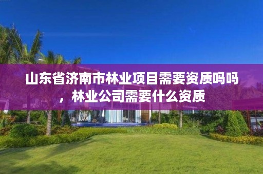 山东省济南市林业项目需要资质吗吗，林业公司需要什么资质