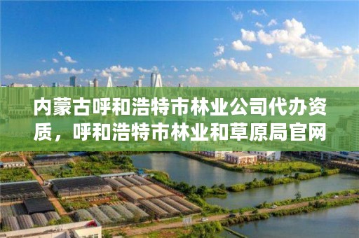 内蒙古呼和浩特市林业公司代办资质,呼和浩特市林业和草原局官网