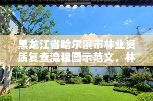 黑龙江省哈尔滨市林业资质复查流程图示范文，林业资格