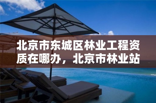 北京市东城区林业工程资质在哪办,北京市林业站