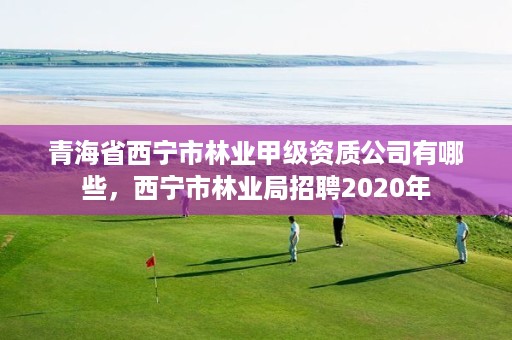 青海省西宁市林业甲级资质公司有哪些,西宁市林业局招聘2020年