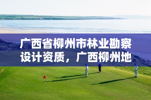 广西省柳州市林业勘察设计资质，广西柳州地区林业勘测设计院