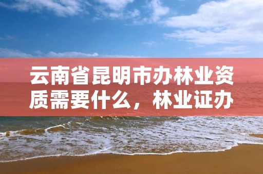 云南省昆明市办林业资质需要什么，林业证办理流程