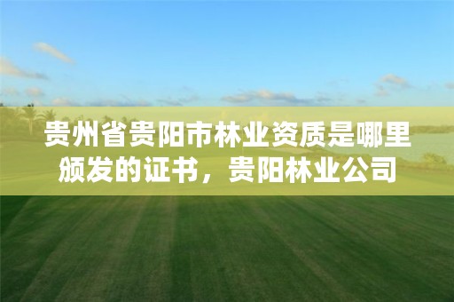 贵州省贵阳市林业资质是哪里颁发的证书,贵阳林业公司