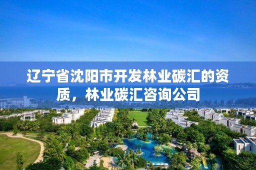 辽宁省沈阳市开发林业碳汇的资质,林业碳汇咨询公司