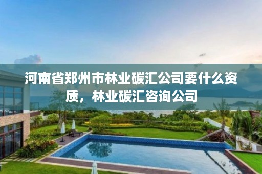 河南省郑州市林业碳汇公司要什么资质，林业碳汇咨询公司