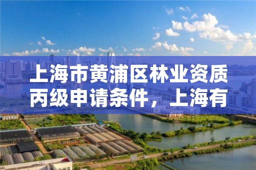 上海市黄浦区林业资质丙级申请条件，上海有没有林业局