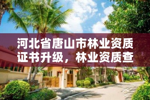 河北省唐山市林业资质证书升级，林业资质查询