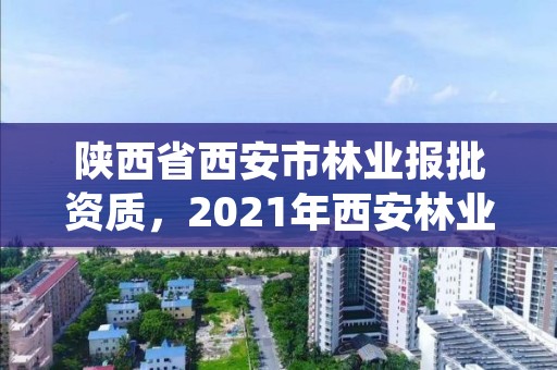 陕西省西安市林业报批资质，2021年西安林业系统招聘