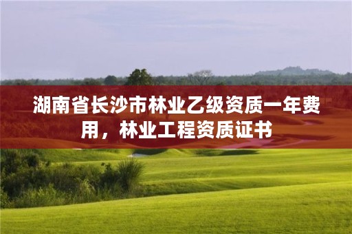 湖南省长沙市林业乙级资质一年费用，林业工程资质证书