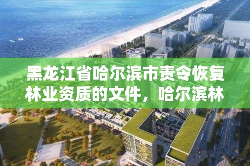 黑龙江省哈尔滨市责令恢复林业资质的文件,哈尔滨林业厅官网