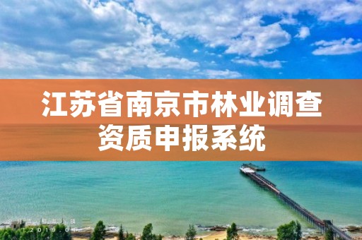 江苏省南京市林业调查资质申报系统