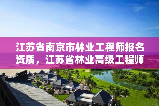 江苏省南京市林业工程师报名资质,江苏省林业高级工程师资格条件