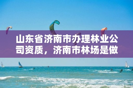山东省济南市办理林业公司资质，济南市林场是做什么的