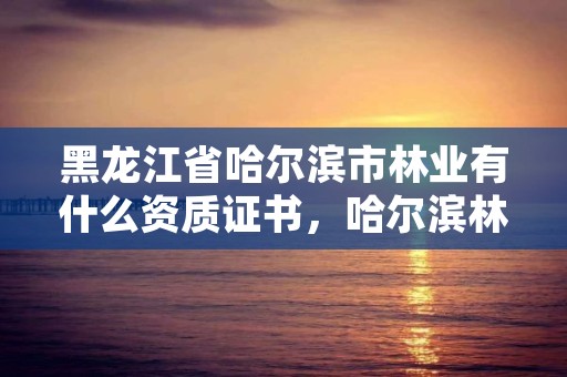 黑龙江省哈尔滨市林业有什么资质证书,哈尔滨林业局管辖范围