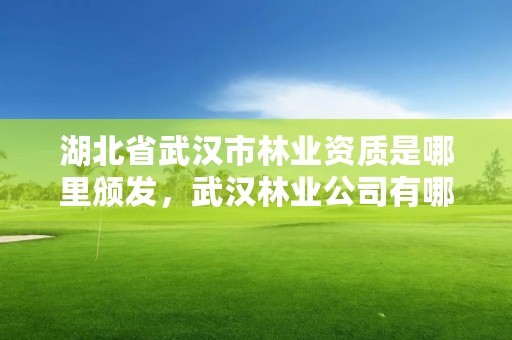 湖北省武汉市林业资质是哪里颁发，武汉林业公司有哪些