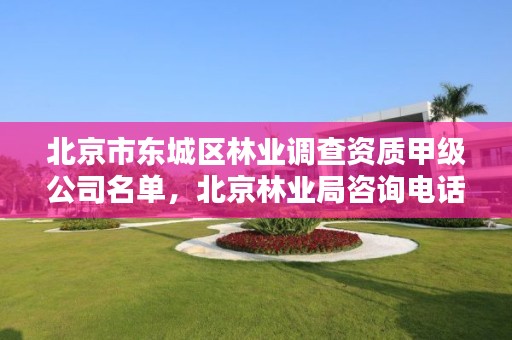 北京市东城区林业调查资质甲级公司名单，北京林业局咨询电话
