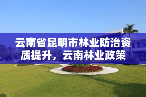 云南省昆明市林业防治资质提升，云南林业政策