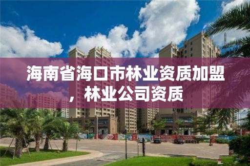 海南省海口市林业资质加盟，林业公司资质
